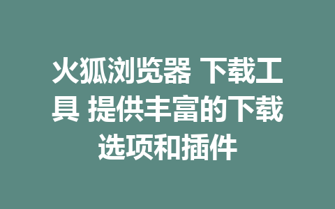 火狐浏览器 下载工具 提供丰富的下载选项和插件